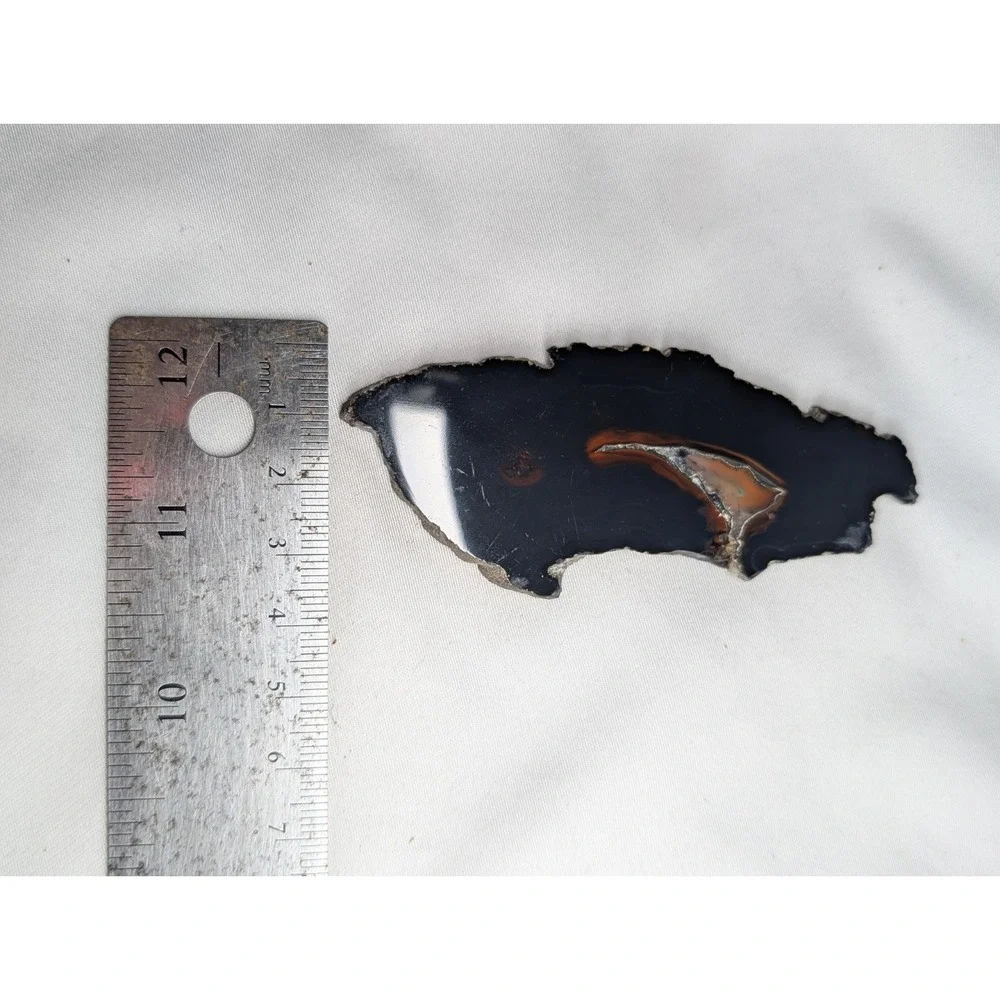 Brazilian Piranha Agate Polished Stone Slab Lapidary Rock
